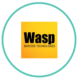 Wasp